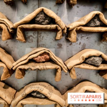 Arte Povera, l'exposition à la Bourse de Commerce, nos photos - IMG 6285