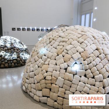 Arte Povera, l'exposition à la Bourse de Commerce, nos photos - IMG 6292