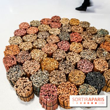 Arte Povera, l'exposition à la Bourse de Commerce, nos photos - IMG 6314