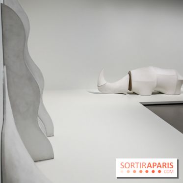 Arte Povera, l'exposition à la Bourse de Commerce, nos photos - IMG 6323