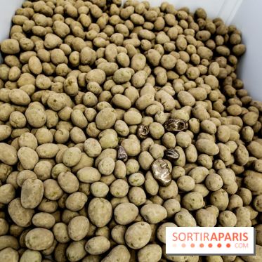 Arte Povera, l'exposition à la Bourse de Commerce, nos photos - IMG 6346