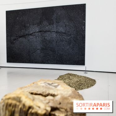 Arte Povera, l'exposition à la Bourse de Commerce, nos photos - IMG 6347