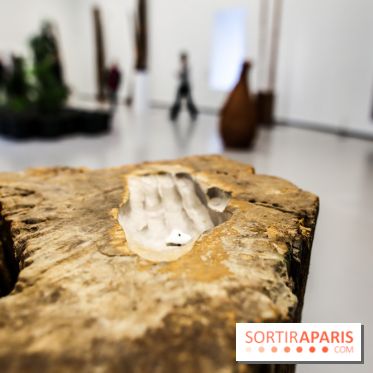 Arte Povera, l'exposition à la Bourse de Commerce, nos photos - IMG 6349