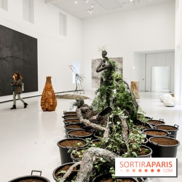 Arte Povera, l'exposition à la Bourse de Commerce, nos photos - IMG 6352