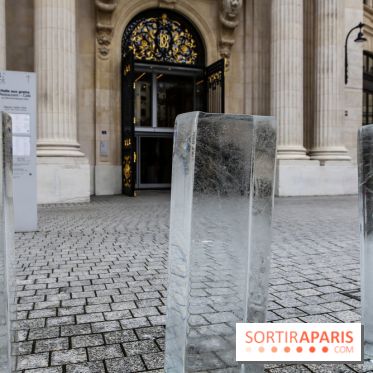 Arte Povera, l'exposition à la Bourse de Commerce, nos photos - IMG 6358