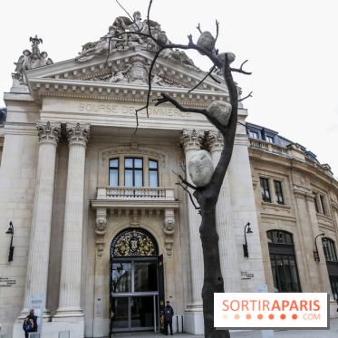 Arte Povera, l'exposition à la Bourse de Commerce, nos photos - IMG 6360