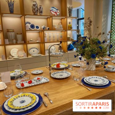 Institut Bernardaud - porcelaine