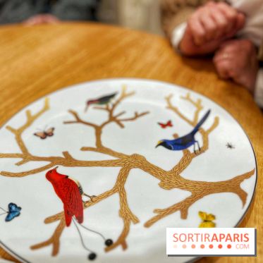 Institut Bernardaud - porcelaine