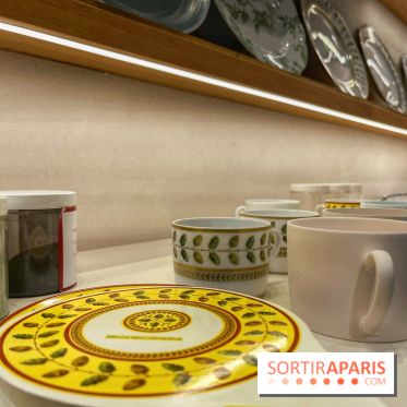 Institut Bernardaud - porcelaine