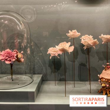 Merveilles - Sèvres - IMG 5162