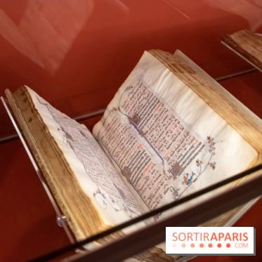 Figures du fou au musée du Louvre : l'exposition loufoque à découvrir - DSC 1328