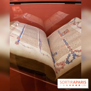 Figures du fou au musée du Louvre : l'exposition loufoque à découvrir - DSC 1329