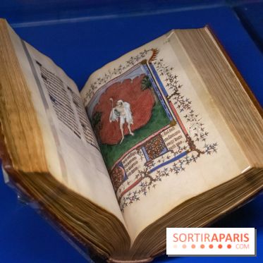 Figures du fou au musée du Louvre : l'exposition loufoque à découvrir - DSC 1333