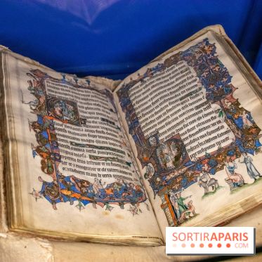 Figures du fou au musée du Louvre : l'exposition loufoque à découvrir - DSC 1334