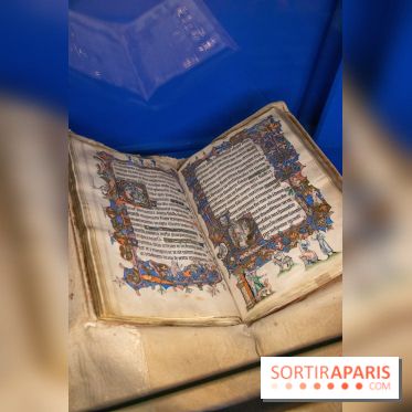 Figures du fou au musée du Louvre : l'exposition loufoque à découvrir - DSC 1335