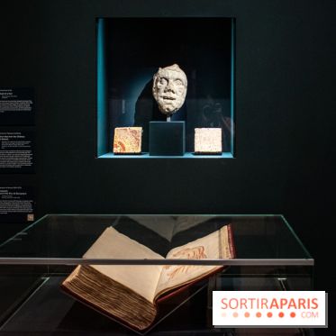 Figures du fou au musée du Louvre : l'exposition loufoque à découvrir - DSC 1369