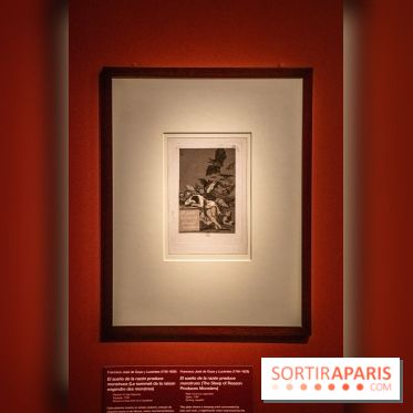 Figures du fou au musée du Louvre : l'exposition loufoque à découvrir - DSC 1411