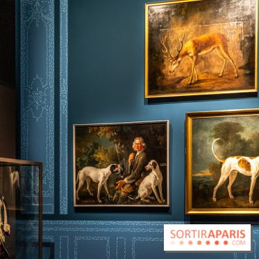Les photos de l'exposition Oudry, peinte de courre au Château de Fontainebleau