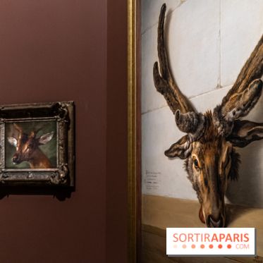 Les photos de l'exposition Oudry, peinte de courre au Château de Fontainebleau