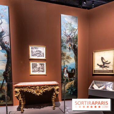 Les photos de l'exposition Oudry, peinte de courre au Château de Fontainebleau