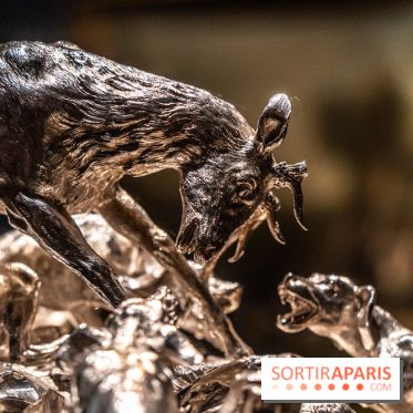 Les photos de l'exposition Oudry, peinte de courre au Château de Fontainebleau