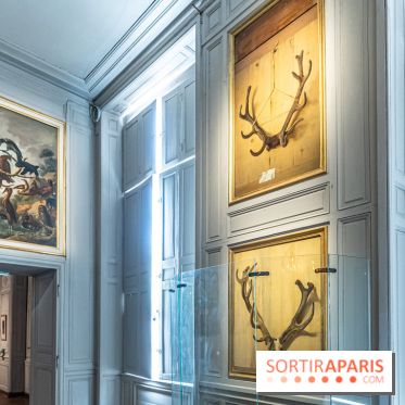 Les photos de l'exposition Oudry, peinte de courre au Château de Fontainebleau