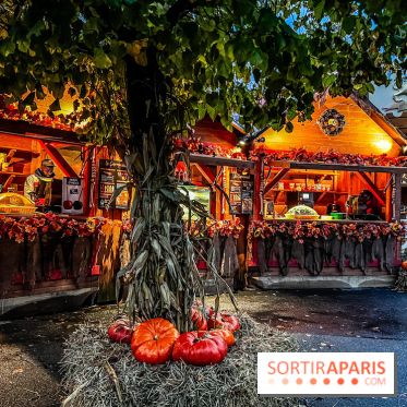 Halloween au Parc Astérix 2024 : Peur sur le Parc et ses nocturnes - IMG 3750