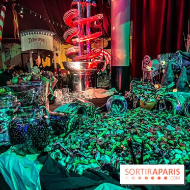 Halloween au Parc Astérix 2024 : Peur sur le Parc et ses nocturnes - IMG 3768