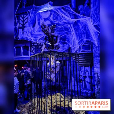 Halloween au Parc Astérix 2024 : Peur sur le Parc et ses nocturnes - IMG 3831
