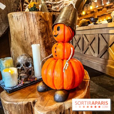 Halloween au Parc Astérix 2024 : Peur sur le Parc et ses nocturnes - IMG 3928