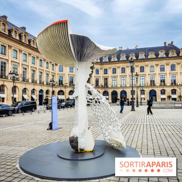 Art Basel Paris 2024 : des champignons géants décorent la place Vendôme - nos photos - IMG20241012121320