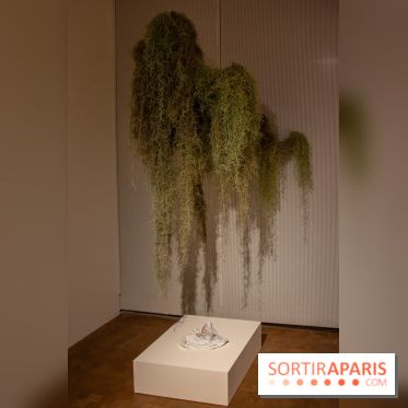 Exposition Soft Skills de Mohamad Abdouni à Lafayette Anticipations