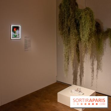 Exposition Soft Skills de Mohamad Abdouni à Lafayette Anticipations