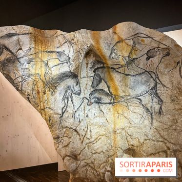 La Grotte Chauvet à la Cité des Sciences, nos photos  - image00010