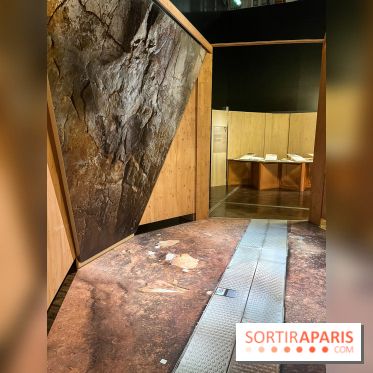 La Grotte Chauvet à la Cité des Sciences, nos photos  - image00001