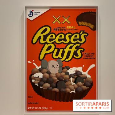 Exposition Pop Forever  - IMG 2771