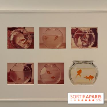 Exposition Pop Forever  - IMG 2797