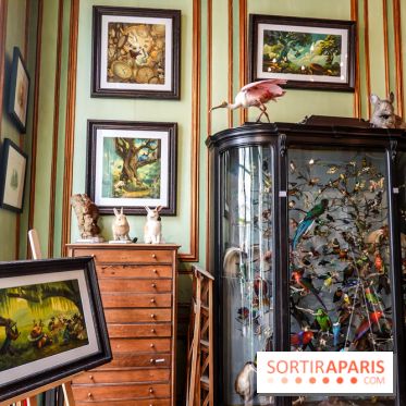 Benjamin Lacombe, nos photos de son exposition chez Deyrolle à Paris - DSC05548