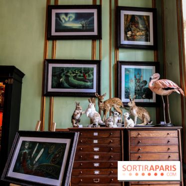 Benjamin Lacombe, nos photos de son exposition chez Deyrolle à Paris - IMG 6509