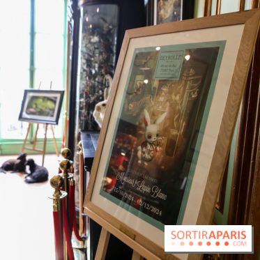 Benjamin Lacombe, nos photos de son exposition chez Deyrolle à Paris - IMG 6514