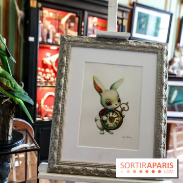 Benjamin Lacombe, nos photos de son exposition chez Deyrolle à Paris - IMG 6517