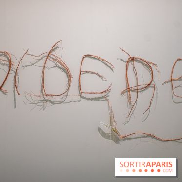 Exposition Praesentia de Myriam Mihindou au Palais de Tokyo - DSC 1614