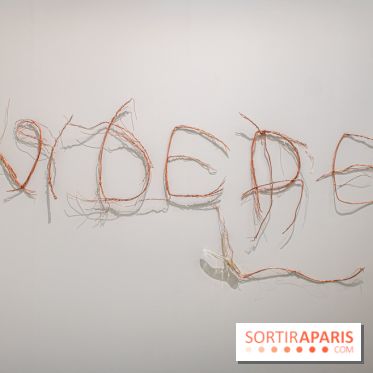 Exposition Praesentia de Myriam Mihindou au Palais de Tokyo - DSC 1615