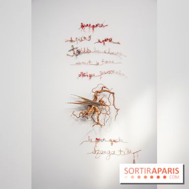 Exposition Praesentia de Myriam Mihindou au Palais de Tokyo - DSC 1620