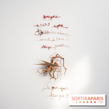 Exposition Praesentia de Myriam Mihindou au Palais de Tokyo - DSC 1621