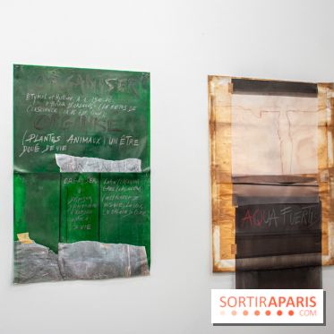 Exposition Praesentia de Myriam Mihindou au Palais de Tokyo - DSC 1622