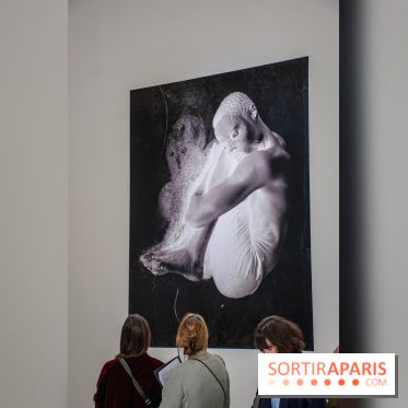 Exposition Praesentia de Myriam Mihindou au Palais de Tokyo - DSC 1625