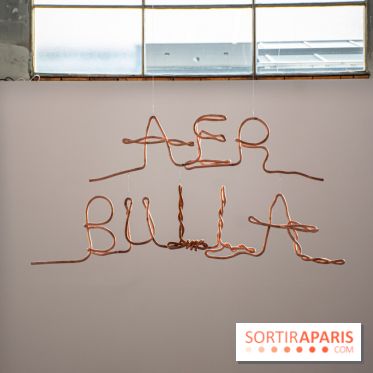 Exposition Praesentia de Myriam Mihindou au Palais de Tokyo - DSC 1631