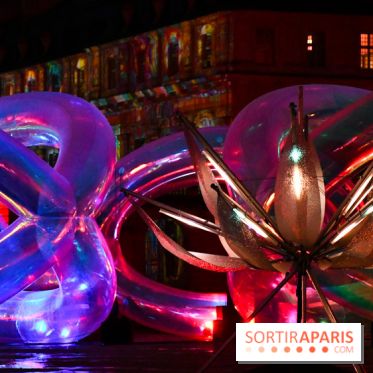 Vincennes, Château de Lumières - DSC 2537