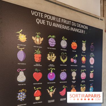 One Piece pop-up shop Paris - les photos